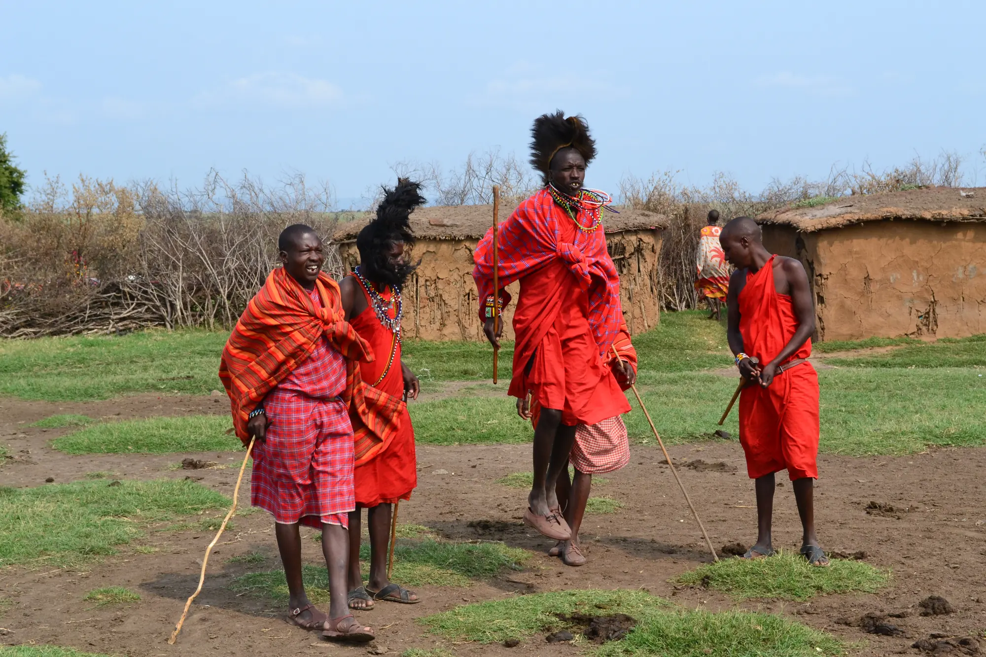 Maasai warriors in red shukas, one leaping high in the air during the adumu jumping dance