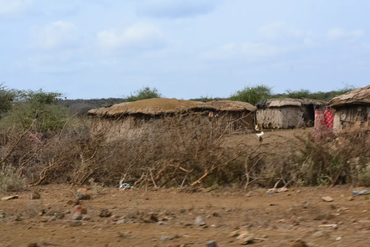 A village of low mud-and-thatch houses behind a thorn fence on dry red earth