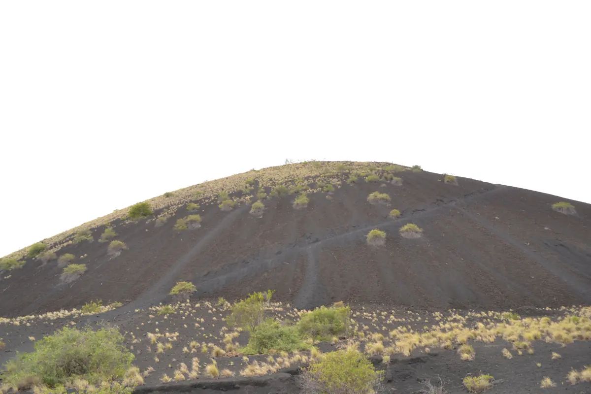 A large bull elephant covered in red dust walking through dry brush